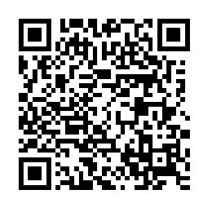 陆为民却不想好不容争取来这样一个试点机会就这样白白浪费二维码生成
