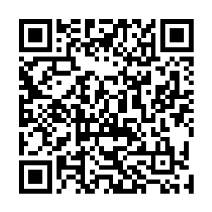 陆为民只说在正式方案未出台之前都会充分征求大家意见二维码生成