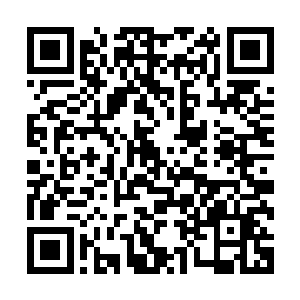 陆为民可以和他们谈一谈自己对当前国际国内经济形势的判断二维码生成