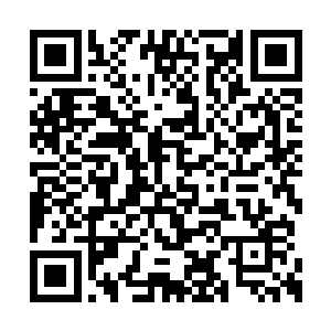 陆为民和萧樱陪着徐柯和赵利丰也是玩得很高兴二维码生成