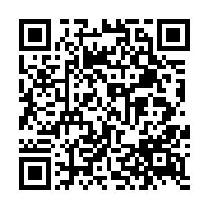 陆为民和鲁道元在距离镇政府还有三百米远左右就下了车二维码生成