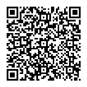陆为民对于企业管理这一块如此熟知而且提出的观点都让袁振峰和欧振国感到吃惊二维码生成