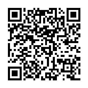 陆为民对于国内企业和国外那些跨国企业合资也是心情复杂二维码生成