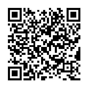 陆为民就让顾子铭和萧樱狠狠的灌了齐元俊不少酒二维码生成