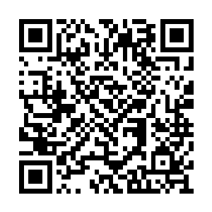 陆为民很显然把他和柯建设列为了一条线的入物二维码生成