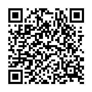 陆为民怀中的女儿立即被进来的两个外人给吸引住了二维码生成