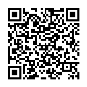 陆为民想不起是原来县府办还是原来财政局的车了二维码生成