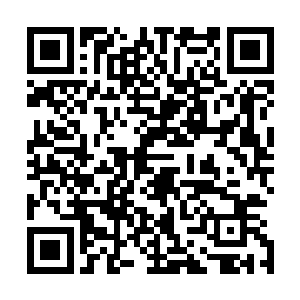 陆为民把经过甄选后的拍摄图片放在沈子烈和周瑜明面前时二维码生成
