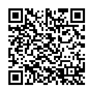 陆为民提及1992年的英镑危机让何铿鹰目中星芒爆闪二维码生成