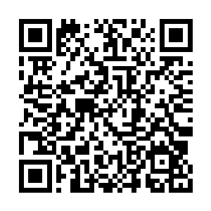 陆为民摸着下颌若有所思的看着前方浩荡的水面二维码生成