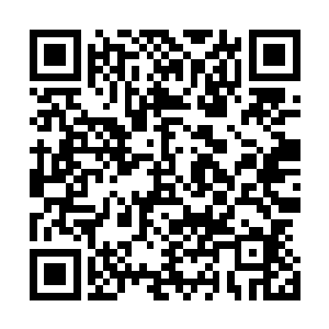 陆为民最担心的就是华民集团完全要依靠自己的记忆来点拨二维码生成