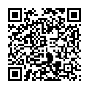 陆为民最迫切的还是要求一环线西段必须要全面动起来二维码生成