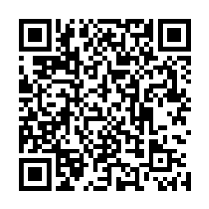 陆为民正颇为得意的向冯可行介绍着这来自骑龙岭的养生酒二维码生成