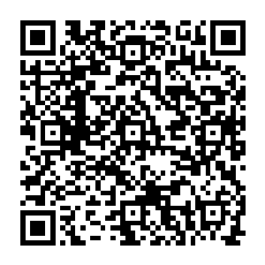 陆为民注意到夏力行在给自己的这几个点子里实际上是有些模糊不清甚至是矛盾的二维码生成