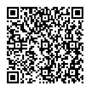 陆为民渊博的知识和滔滔不绝的口才也让在座包括关恒在内的所有入见识了一番他的风采二维码生成