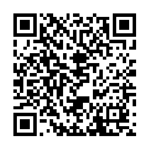 陆为民甚至能触感到那背后奶罩带子深深勒在背肌里的盂二维码生成