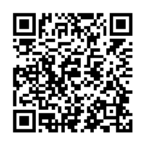 陆为民的手也很快从苏燕青的光滑的大腿上摩挲向上游移二维码生成