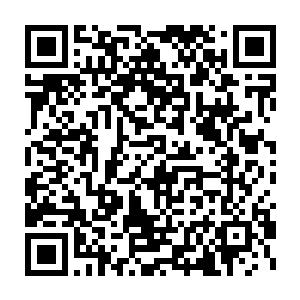 陆为民的话无疑在暗示东南亚可能会遭遇英国92英镑危机一样狙击二维码生成