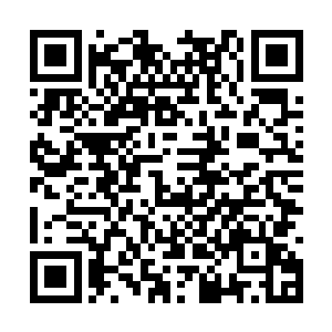 陆为民相信孔令成和钱理国应该看得到存在的弊端二维码生成