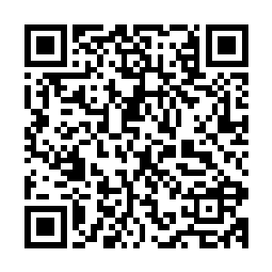 陆为民看书时那种冷峻深邃略带思索的表情让岳霜婷看得出神二维码生成
