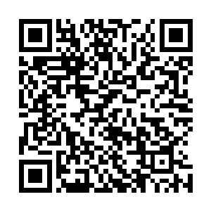 陆为民真心想以最时尚的方式给雷达献上一个同志式的热吻二维码生成