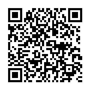 陆为民着重介绍了城市建设的规划构想和市委市政府的一些做法二维码生成