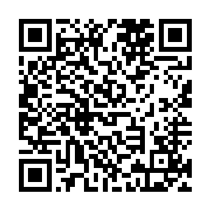 陆为民站的高度和看问题的角度很多时候的确高人一筹二维码生成