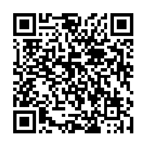 陆为民紧接着又把自己的一些想法和意图详细阐述了二维码生成