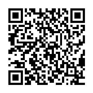 陆为民给自己确定的目标是花两到三个月有针对性的收集情况二维码生成