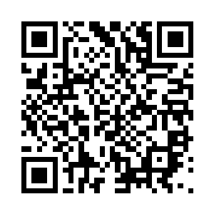 陆为民肯定不会选择同一天和岳霜婷去云南二维码生成