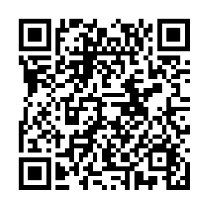 陆为民虽然也对那种百分之十几二十的增速很期待二维码生成