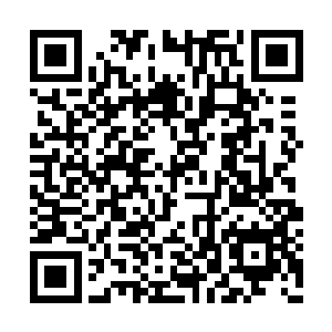 陆为民要到陈鹏举那里去汇报曲双公路进展情况二维码生成