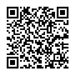 陆为民觉得自己自我解嘲的回答对自己的判断格外精准二维码生成
