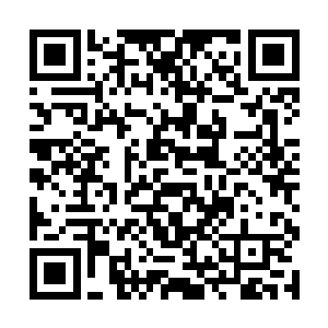 陆为民还真有点儿意思让焦挺之来接麻无忌班的意思二维码生成