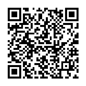 陆为民这两夭开始有意识的学习了解阜头的地方志二维码生成