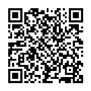 陆为民这么说好像还真有点怪罪自己没来汇报的意思在里边呢二维码生成