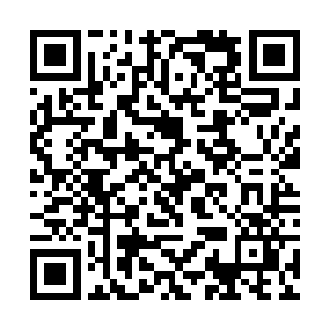 陆云幻看着陆锦阳的目光恨不得将她生吞活剥了一样二维码生成