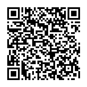 陆凌菲再不是以圣巴伦赫公主的身份在坦尼克重要部门进行锻炼的继承人二维码生成