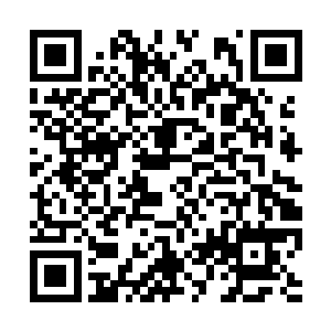 陆凌菲身份的变化张生是通过国外新闻网站知道的二维码生成