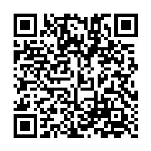 陆凌风到底是成国公和昭华郡主悉心教导长大的二维码生成