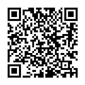 陆凌风心肝肉似得合着被子把妖娆美艳的情人搂在怀里二维码生成