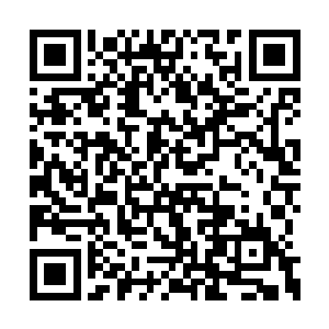 陆北荒等人也很快发现战龙兽不敢对他们下杀手二维码生成