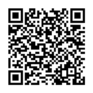 陆卿当时坐在车里就觉得怎么会有这样傻帽的人呢二维码生成