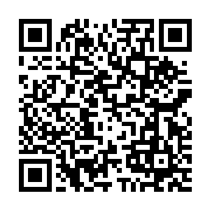 陆向南成功说服了添叔回来作证16年前贝家那宗大火意外二维码生成