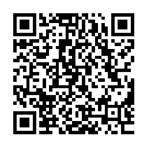 陆哥大概还不知道其实我读大学时候学的专业是园林景观设计二维码生成