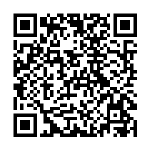 陆大有等人按照王枫的要求小心翼翼的改装起了地雷二维码生成