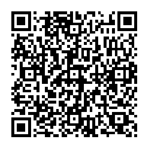 陆天养被庐江说成无底线……昭华郡主敏锐的觉察到他们父子之间一定发生了什么事儿二维码生成