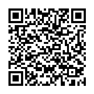 陆天娜也觉得这么短时间之内进出医院两次可够频繁的二维码生成