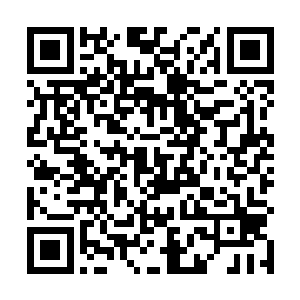 陆天娜现在看见达达真是不知道能用一种什么样的心态二维码生成