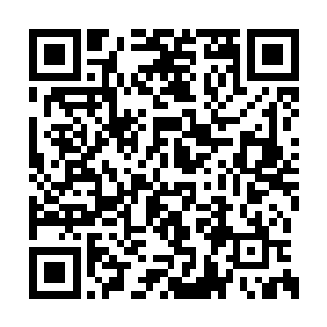 陆奶奶那双布满皱纹的老手轻轻地抚上她的肚子二维码生成